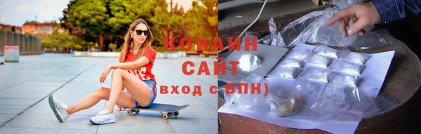 мяу мяу мука Белокуриха