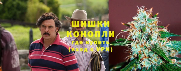 мяу мяу мука Белокуриха