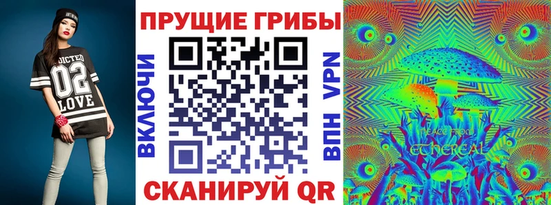 omg зеркало  Каспийск  Псилоцибиновые грибы Magic Shrooms  купить закладку 