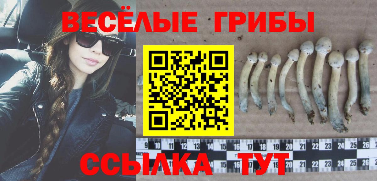купить наркоту  Галлюциногенные грибы ЛСД  Вход с VPN  Каспийск 